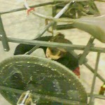 2010-04-18-02_53_00